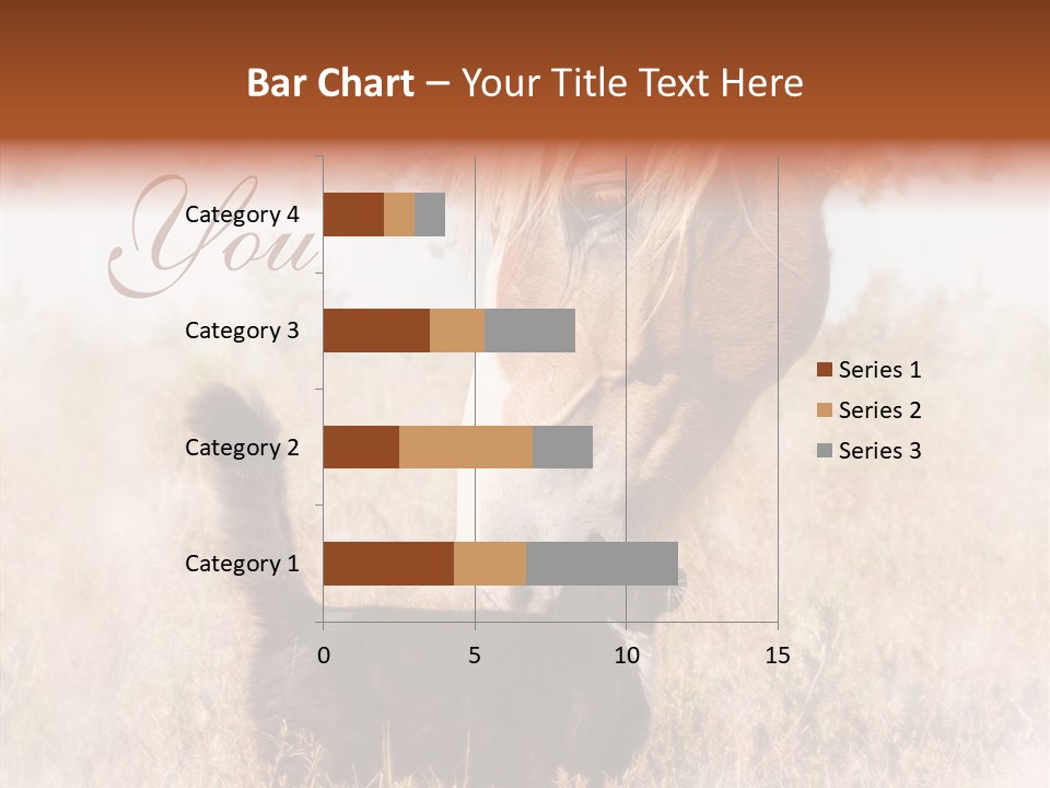 Equine Black Love PowerPoint Template