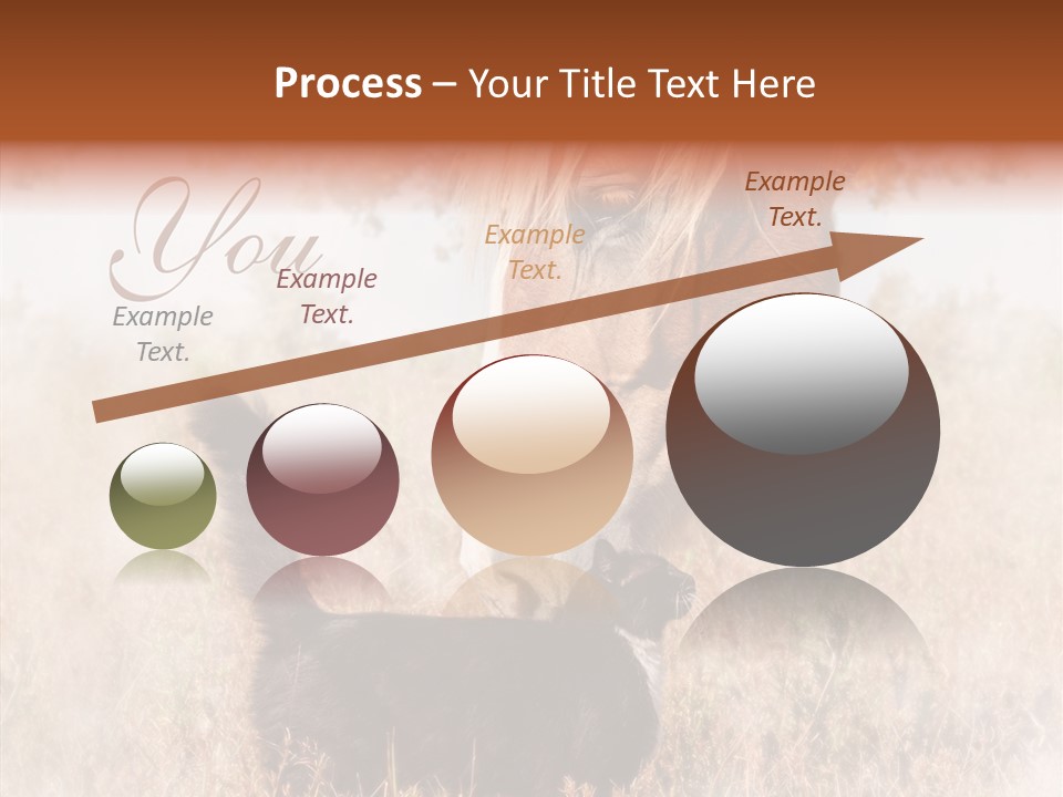 Equine Black Love PowerPoint Template