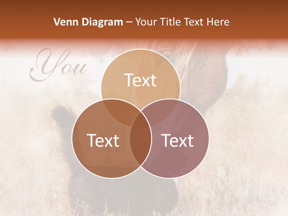 Equine Black Love PowerPoint Template