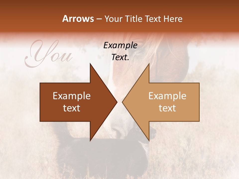 Equine Black Love PowerPoint Template