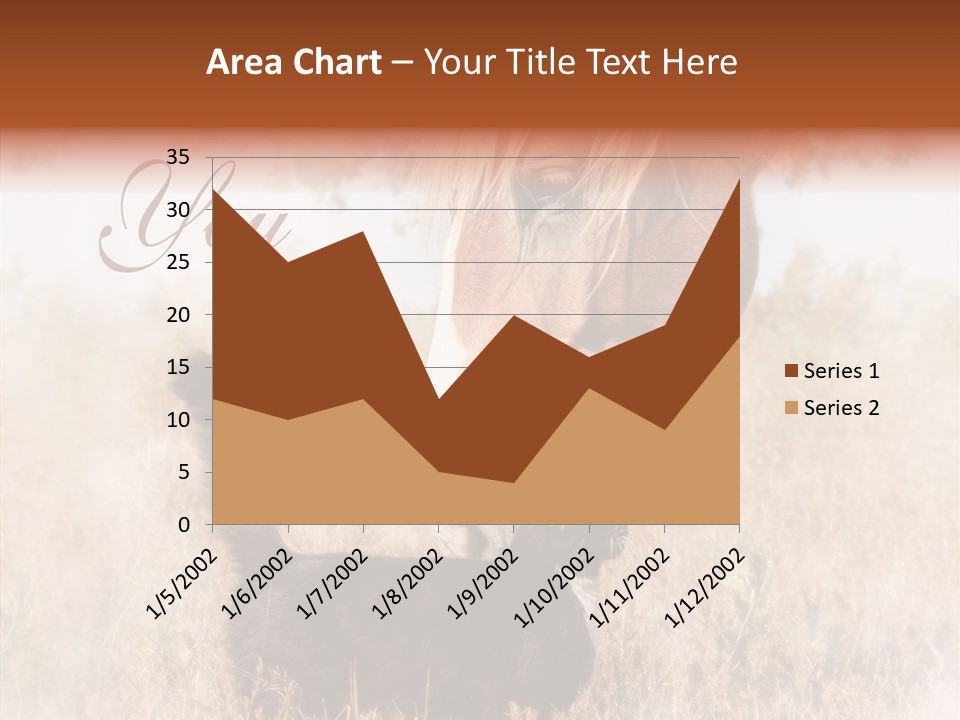 Equine Black Love PowerPoint Template