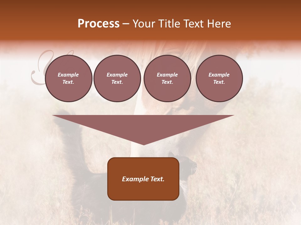 Equine Black Love PowerPoint Template