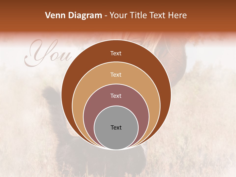 Equine Black Love PowerPoint Template