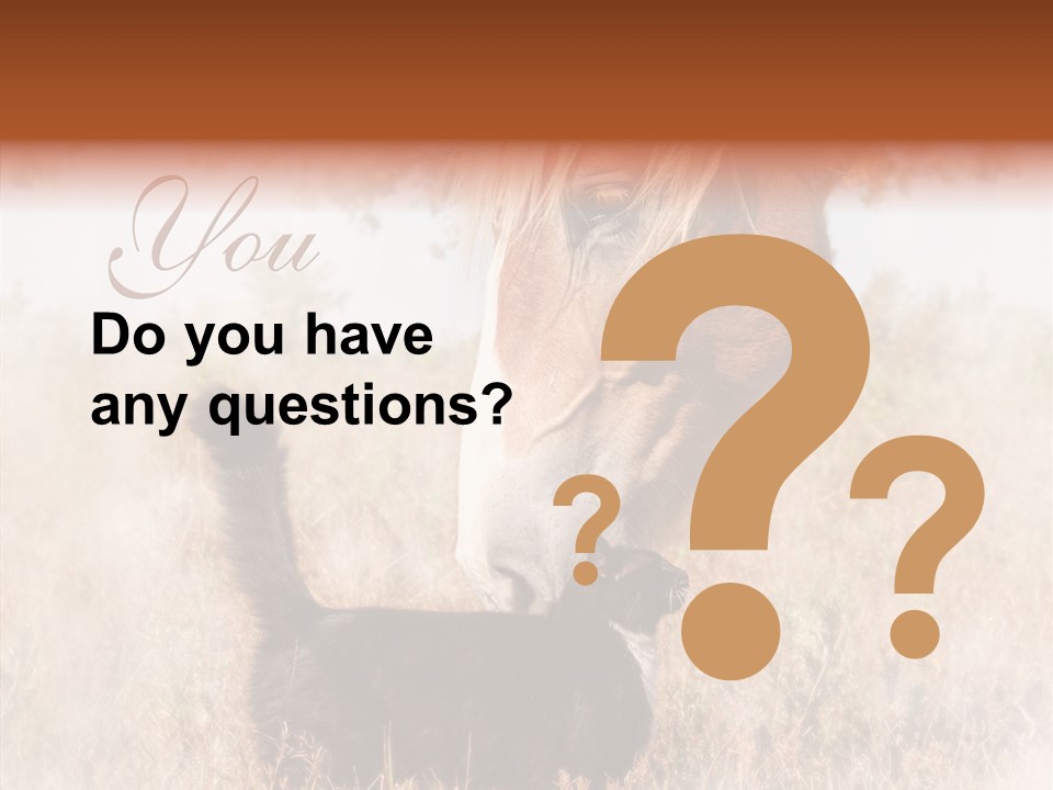 Equine Black Love PowerPoint Template