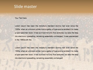 Luxury Product Costa Rica Letter PowerPoint Template