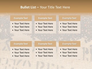 Luxury Product Costa Rica Letter PowerPoint Template