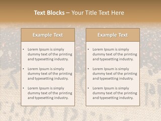 Luxury Product Costa Rica Letter PowerPoint Template
