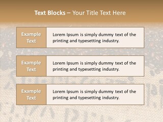 Luxury Product Costa Rica Letter PowerPoint Template