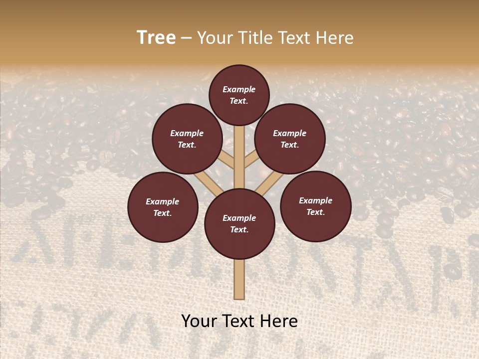 Luxury Product Costa Rica Letter PowerPoint Template