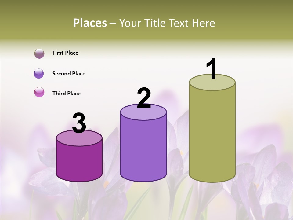 Beautiful Spring Flowers PowerPoint Template