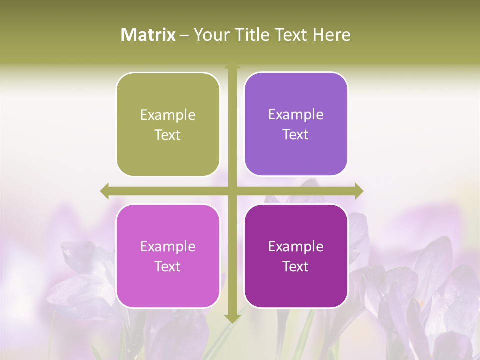 Beautiful Spring Flowers PowerPoint Template