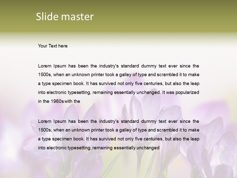 Beautiful Spring Flowers PowerPoint Template
