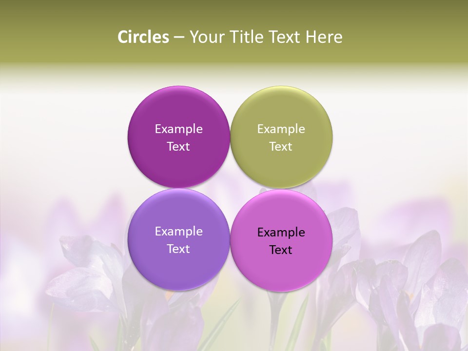 Beautiful Spring Flowers PowerPoint Template