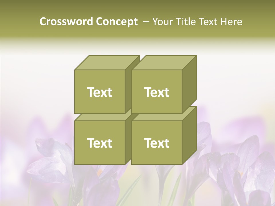 Beautiful Spring Flowers PowerPoint Template