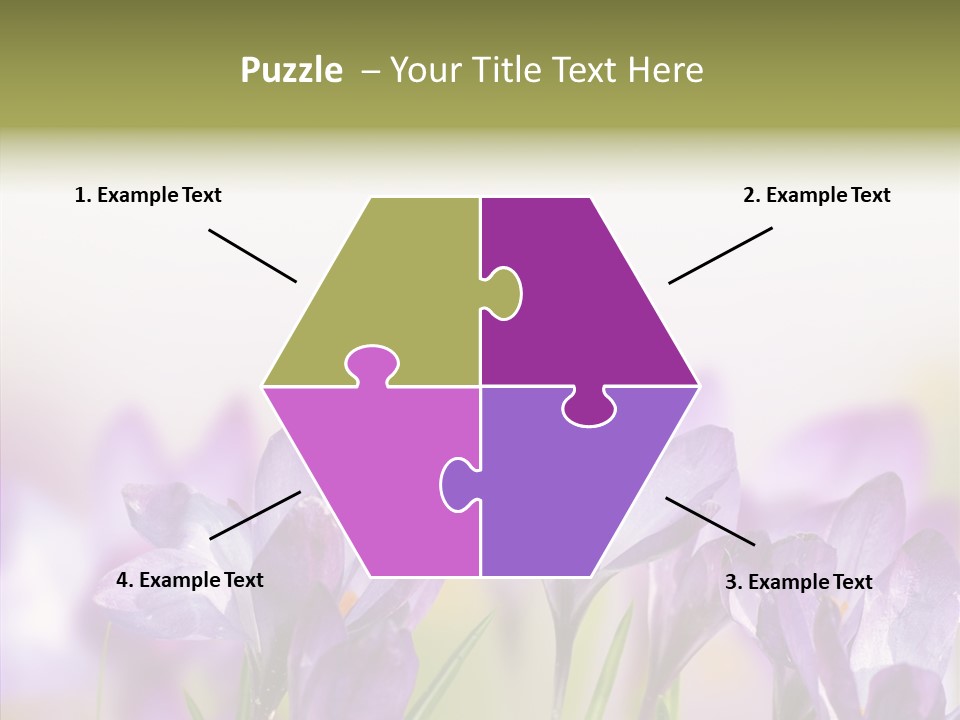 Beautiful Spring Flowers PowerPoint Template