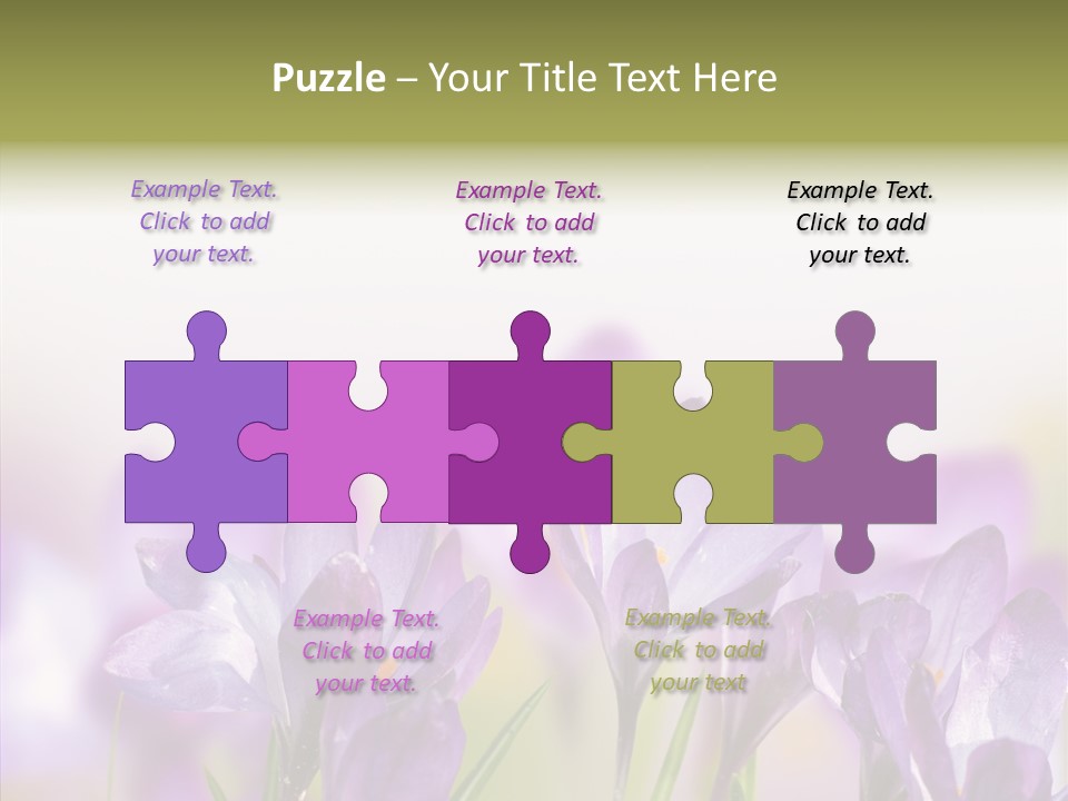 Beautiful Spring Flowers PowerPoint Template
