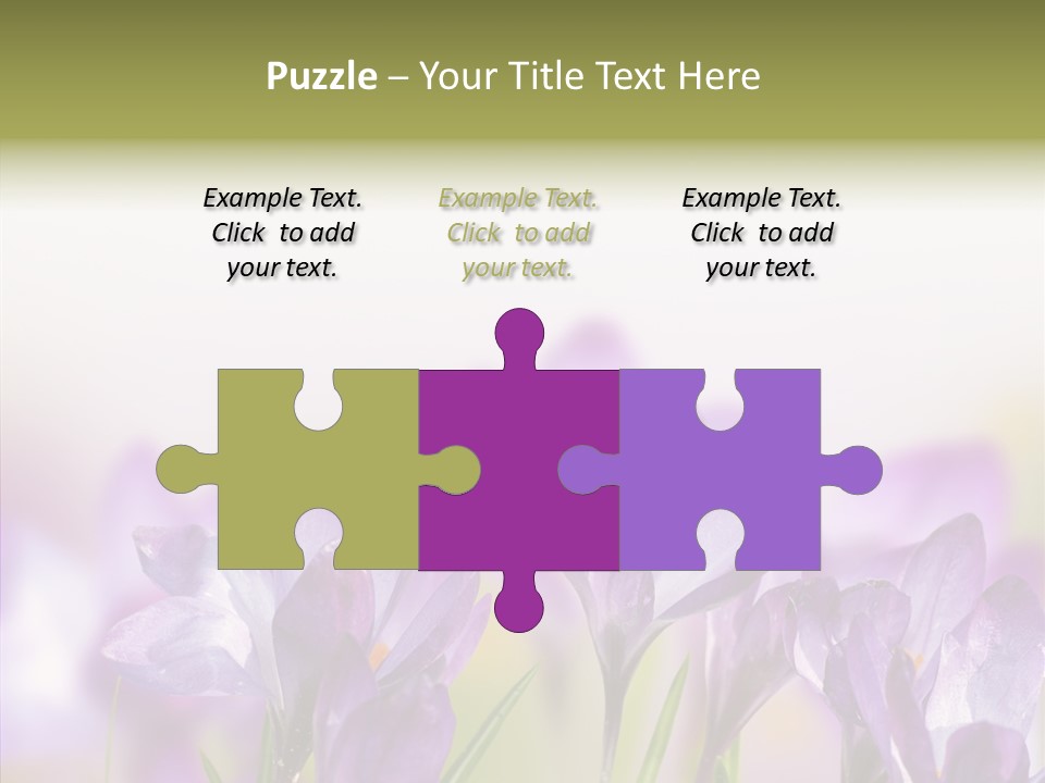 Beautiful Spring Flowers PowerPoint Template