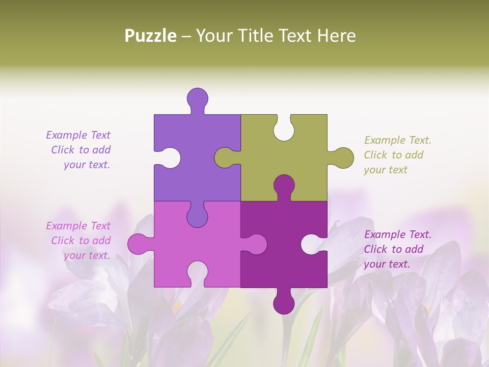 Beautiful Spring Flowers PowerPoint Template