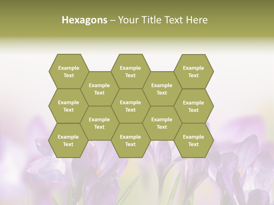 Beautiful Spring Flowers PowerPoint Template