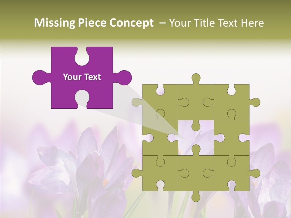 Beautiful Spring Flowers PowerPoint Template