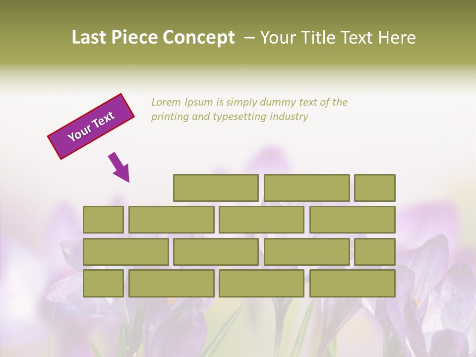 Beautiful Spring Flowers PowerPoint Template