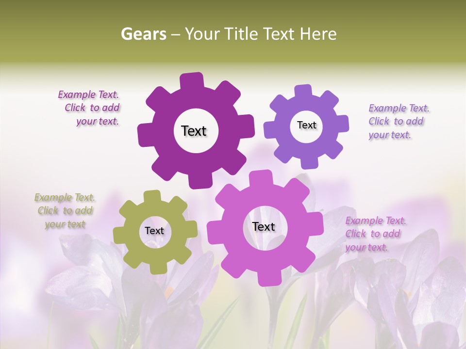 Beautiful Spring Flowers PowerPoint Template