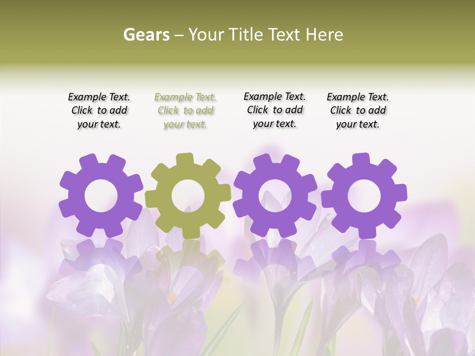 Beautiful Spring Flowers PowerPoint Template
