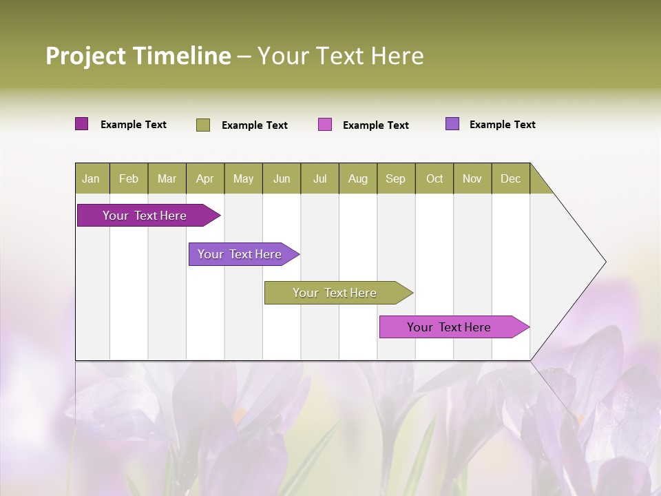 Beautiful Spring Flowers PowerPoint Template
