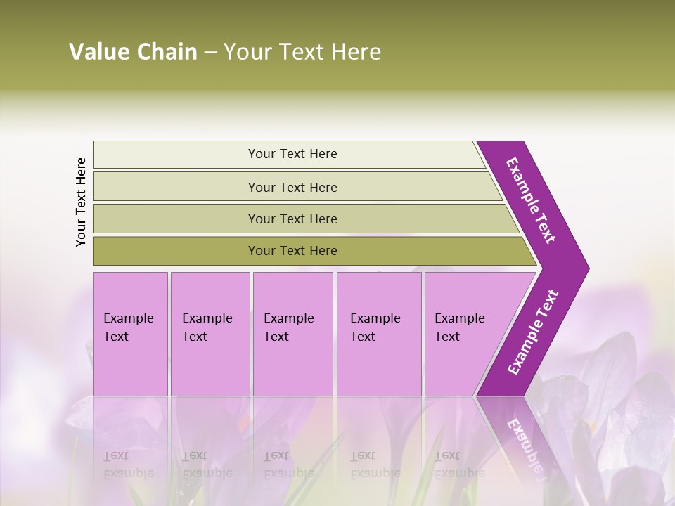 Beautiful Spring Flowers PowerPoint Template