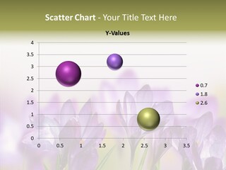 Beautiful Spring Flowers PowerPoint Template