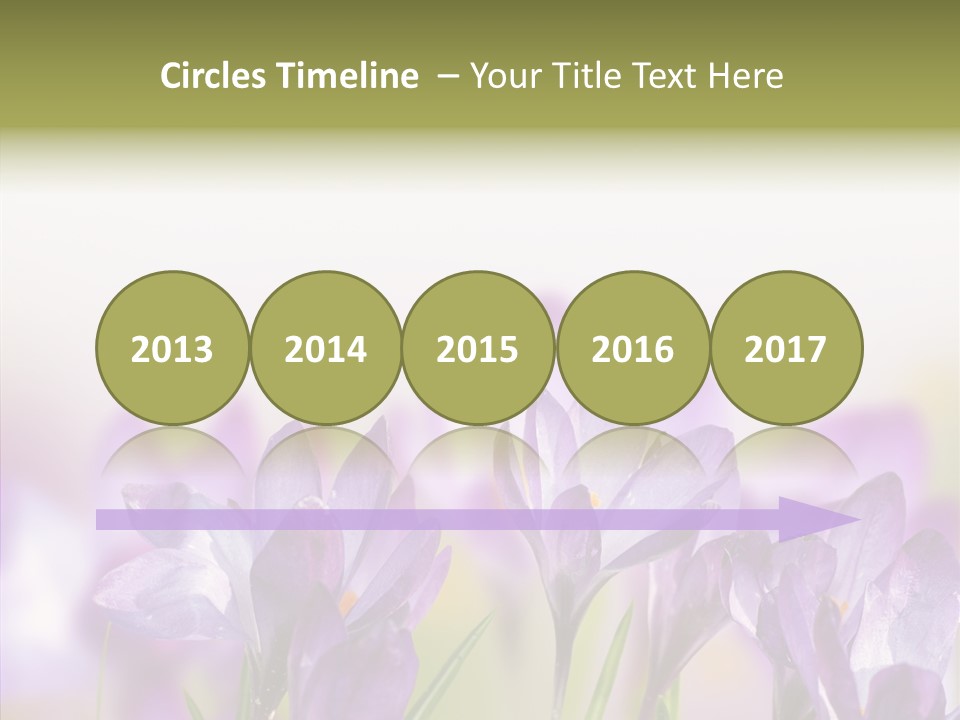 Beautiful Spring Flowers PowerPoint Template