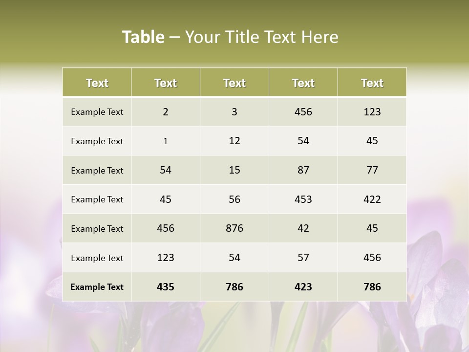 Beautiful Spring Flowers PowerPoint Template