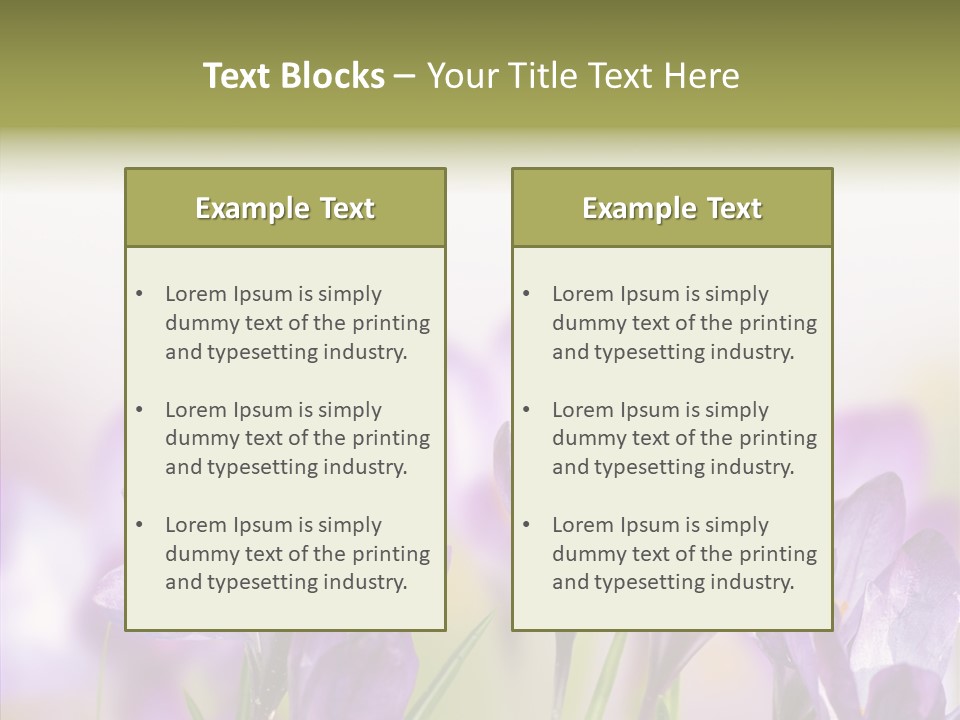 Beautiful Spring Flowers PowerPoint Template