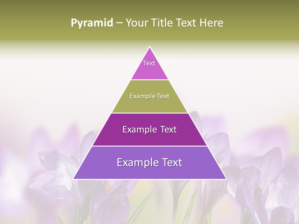 Beautiful Spring Flowers PowerPoint Template