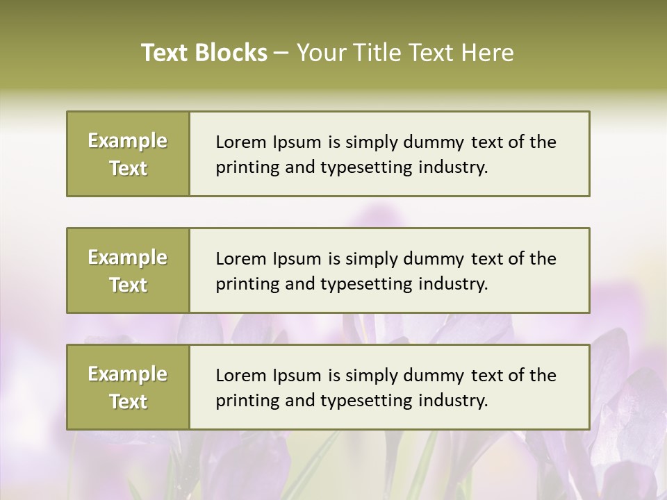 Beautiful Spring Flowers PowerPoint Template