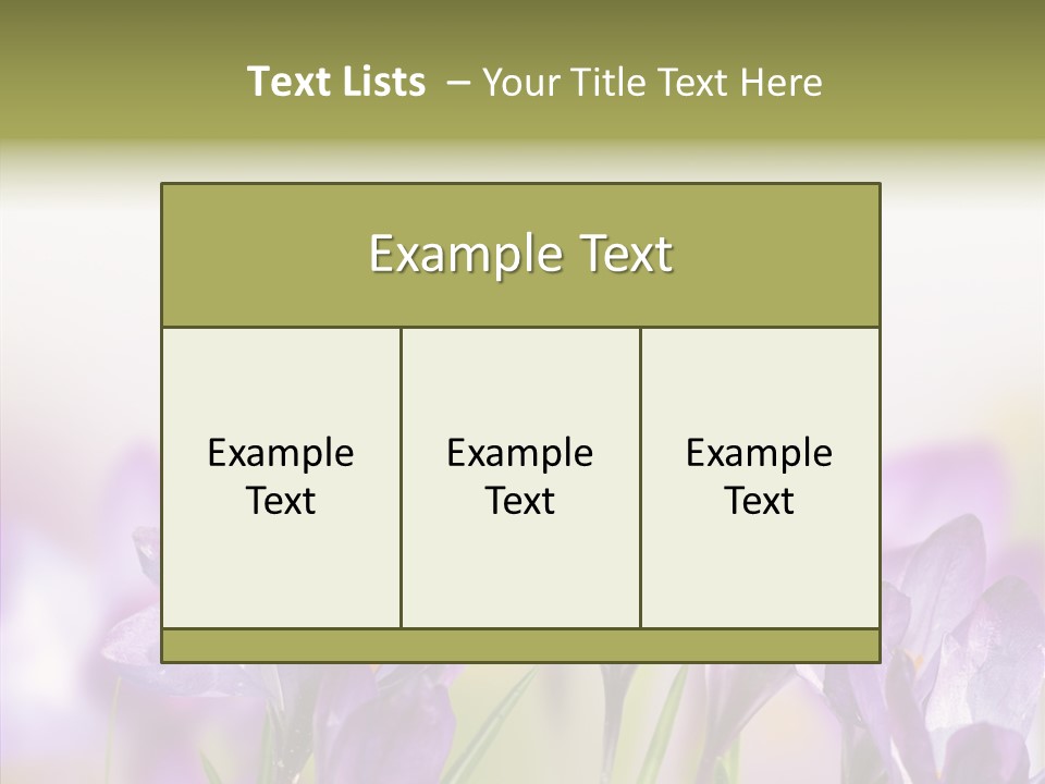 Beautiful Spring Flowers PowerPoint Template