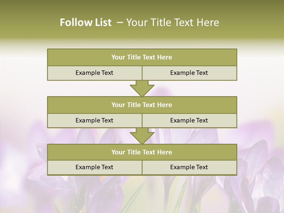 Beautiful Spring Flowers PowerPoint Template