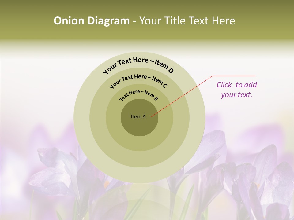 Beautiful Spring Flowers PowerPoint Template