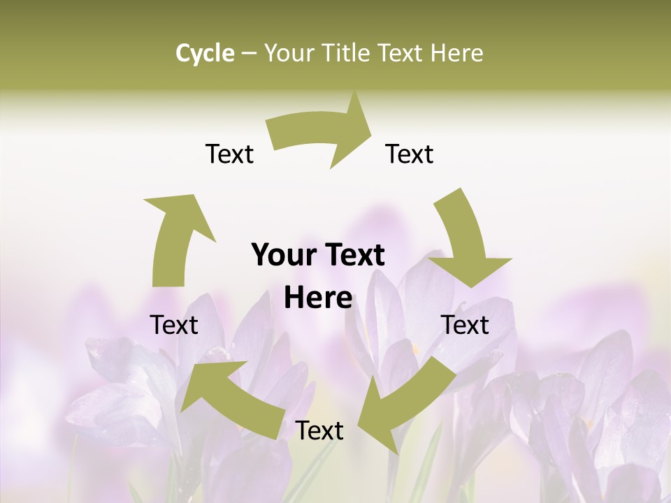 Beautiful Spring Flowers PowerPoint Template