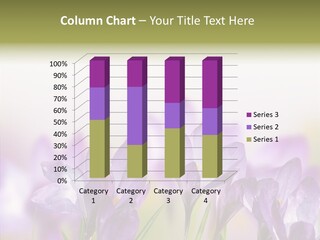 Beautiful Spring Flowers PowerPoint Template