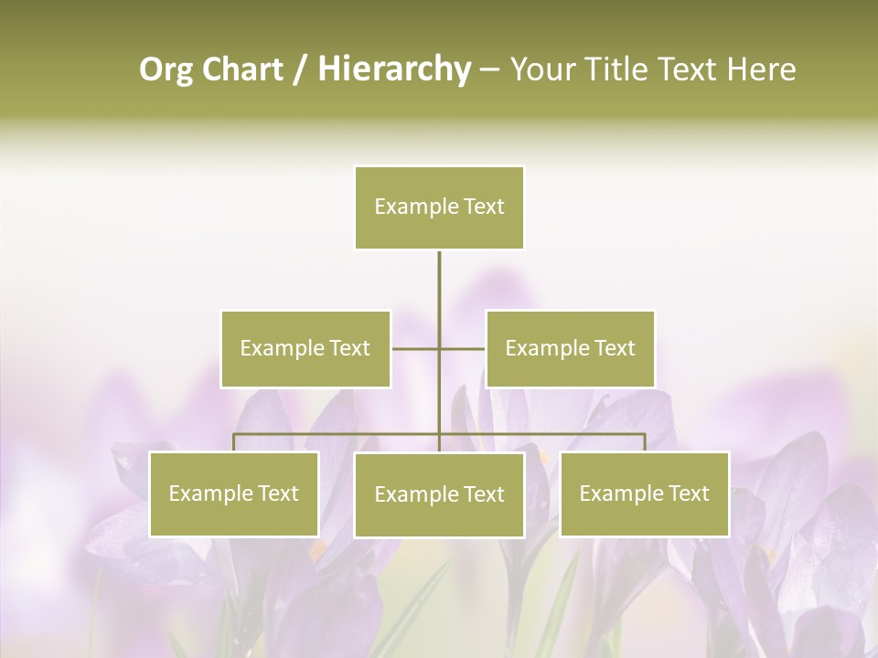 Beautiful Spring Flowers PowerPoint Template