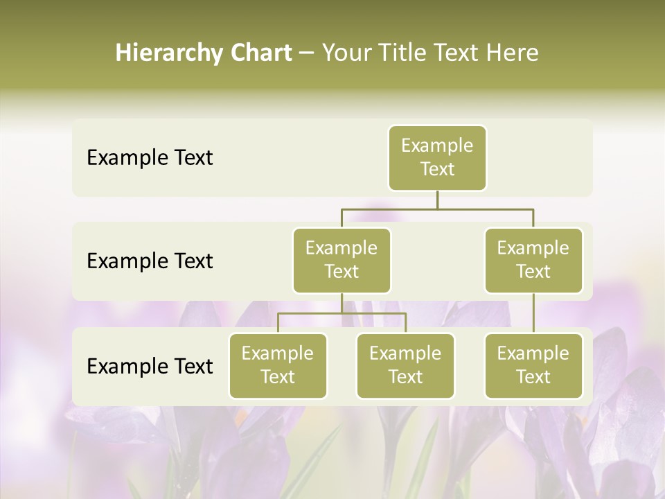 Beautiful Spring Flowers PowerPoint Template