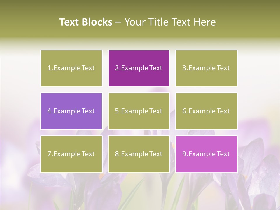 Beautiful Spring Flowers PowerPoint Template