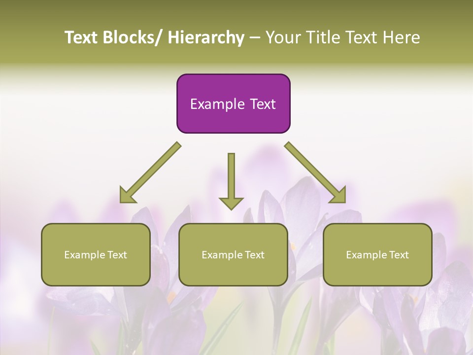 Beautiful Spring Flowers PowerPoint Template