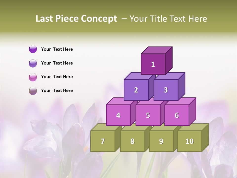 Beautiful Spring Flowers PowerPoint Template