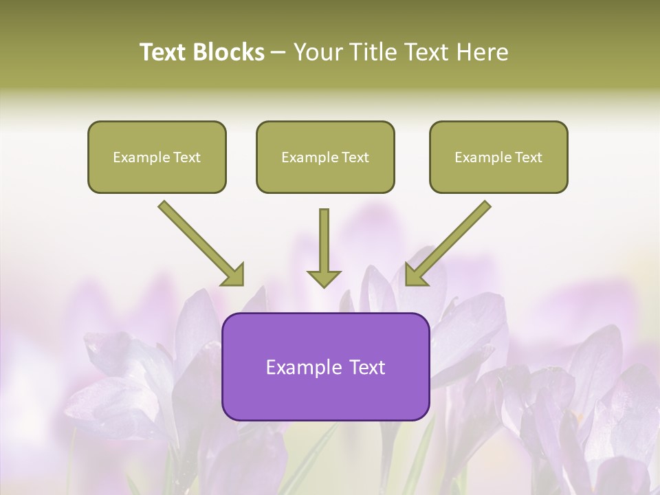 Beautiful Spring Flowers PowerPoint Template