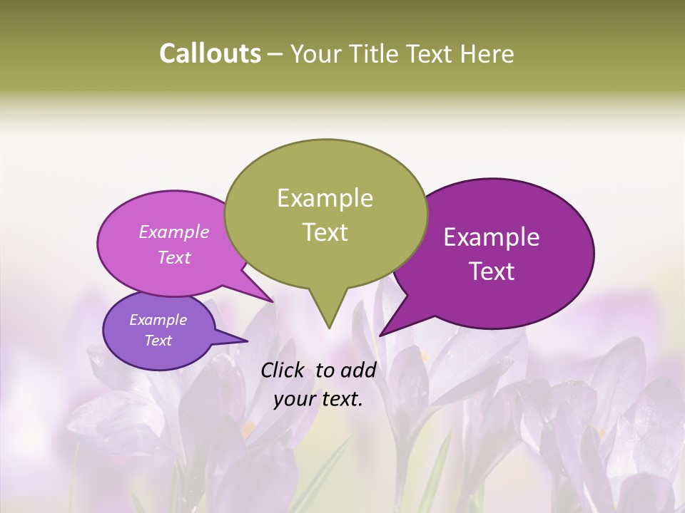 Beautiful Spring Flowers PowerPoint Template