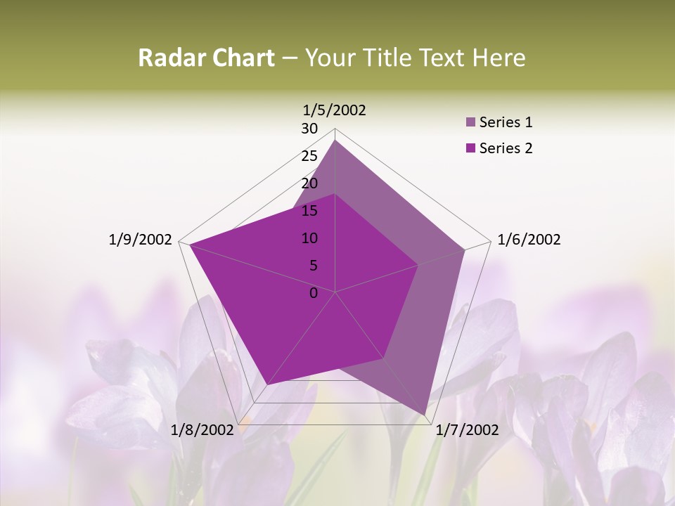 Beautiful Spring Flowers PowerPoint Template