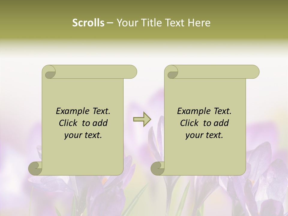 Beautiful Spring Flowers PowerPoint Template