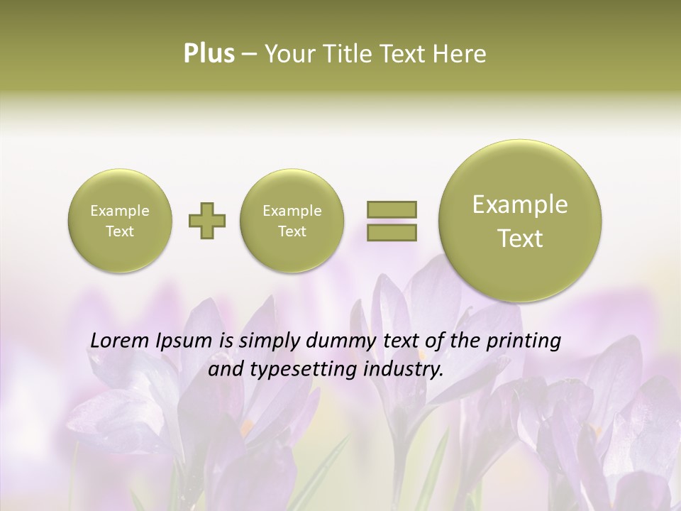 Beautiful Spring Flowers PowerPoint Template